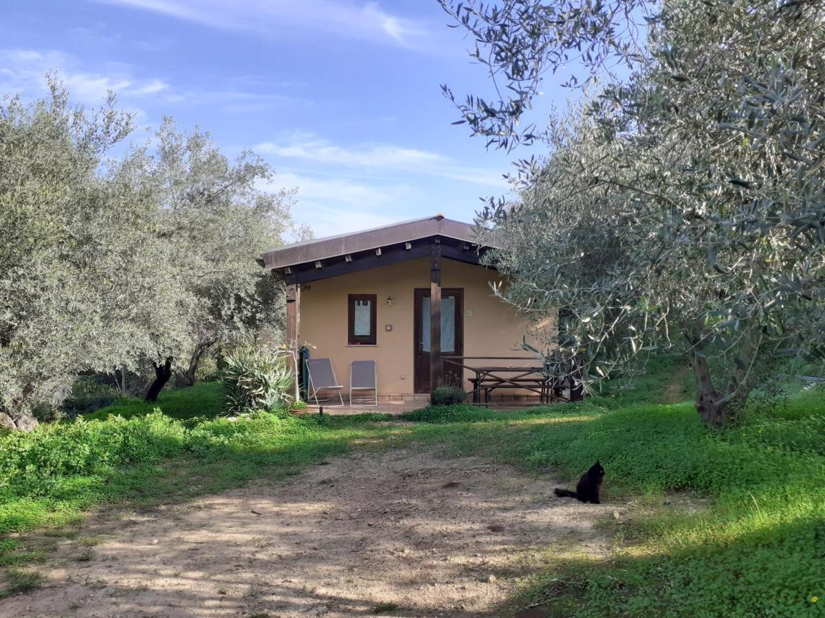 Agriturismo Terra Di Pace Noto Exterior foto